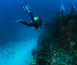 Introduction to Wreck Diving