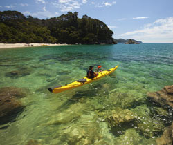 Hotel room rental in Abel Tasman