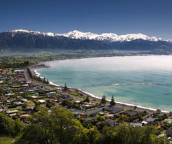 Hotel room rental in the Kaikoura Peninsula